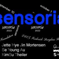 AHL Foundation Announces Opening Of SENSORIA, An Exhibition Of Adopted Korean Artists