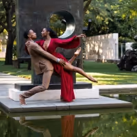 'The Alchemy of High-Performing Arts Organizations, Part II: A Spotlight on…