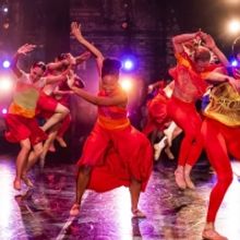 DANCE FOR LIFE 2020 Goes Digital
