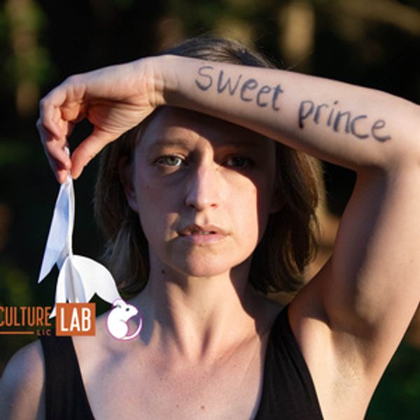 SWEET PRINCE Northeast Tour to Launch Fall 2026 with Boston, NYC Stops Photo