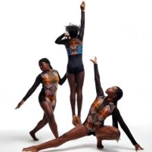 Asase Yaa School Of The Arts Begins Fundraising Campaign To Renovate New Space