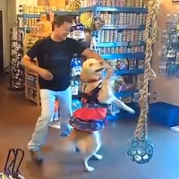 Las Vegas Magician Murray SawChuck Guests Stars This Week on World's Funniest Animals