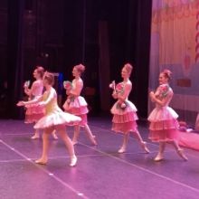 Ballet and Performing Arts Centre Presents IN A NUTSHELL