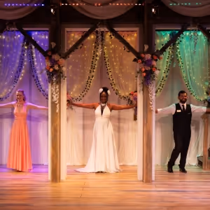 Island City Stage to Present South Florida Premiere of AT THE WEDDING Through…