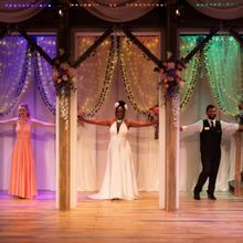 Island City Stage to Present South Florida Premiere of AT THE WEDDING Through Septemb