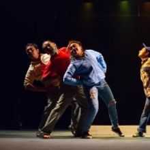 Sabueso, Tebas Land Y Flores Rojas, Montajes De La 42 Muestra Nacional De Teatro En C