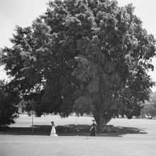 Gaia Ludwig Breaks Free With Her New Single 'I Don't Wanna Wear It'