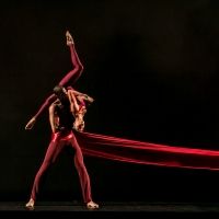 DALLAS BLACK DANCE THEATRE DBDT: ENCORE! Makes Dallas Landscape its Stage