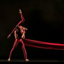 DALLAS BLACK DANCE THEATRE DBDT: ENCORE! Makes Dallas Landscape its Stage