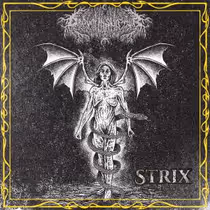 Drown In Sulphur Releases STRIX EP With Live Session Video