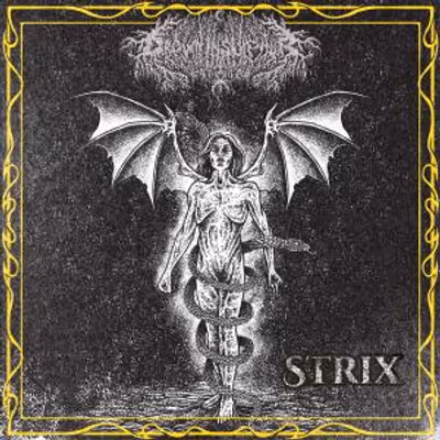 Drown In Sulphur Releases STRIX EP With Live Session Video
