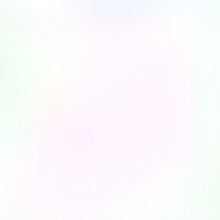 Palm Beach Symphony Chamber Music Series Launches New Season