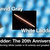 David Gray Announces 'White Ladder: The 20th Anniversary Tour'