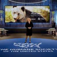 The Humane Society Of The United States Raises Over 2 Million Dollars At TO THE…