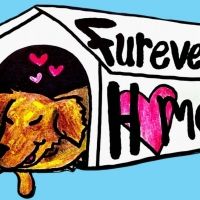 FUREVER HOME Comes to The Players Theatre