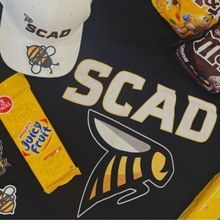 Student Blog: Back To School: Life as the NewBEE