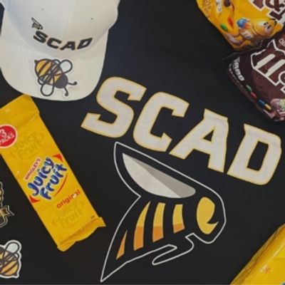 Student Blog: Back To School: Life as the NewBEE