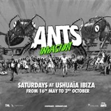 ANTS Reveals New Invasion Concept