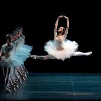 American Ballet Theatre to Cancel March Performances