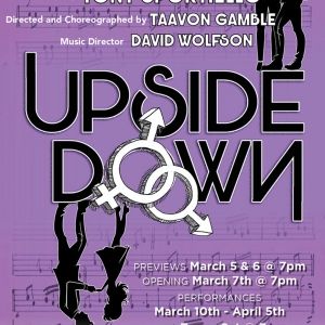 Full Cast Set for Musical UPSIDE DOWN at AMT Theater