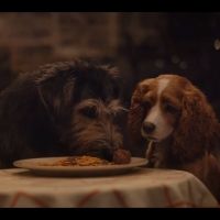VIDEO: Watch a New Trailer for Live Action LADY & THE TRAMP! Video