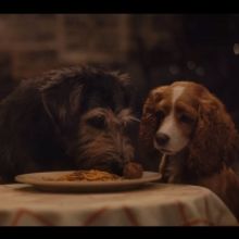 VIDEO: Watch a New Trailer for Live Action LADY & THE TRAMP!