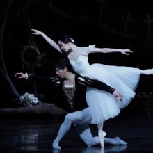 Cast Set For National Ballet Of Japan's GISELLE at The Royal Opera House