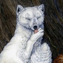 Norman Rockwell Museum Holiday Programming Announced