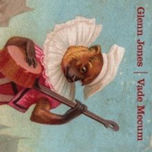 Luminary Guitarist Glenn Jones Announces New Album 'Vade Mecum'