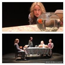 MORE BEAUTIFUL by Craig Lucas to be Presented by Putnam Theatre Alliance