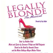 Brundage Park Playhouse to Present LEGALLY BLONDE: THE MUSICAL