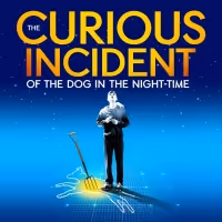 BWW Review: THE CURIOUS INCIDENT OF THE DOG IN THE NIGHT-TIME at USF - Jeschke Fine…