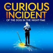 BWW Review: THE CURIOUS INCIDENT OF THE DOG IN THE NIGHT-TIME at USF - Jeschke Fine A