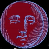 VOTE THE NEW MOON, By Alfred Kreymburg Indicts The System At Metropolitan Virtual Pla