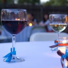 SCOUT & CELLAR Wine Selections for Fun in the Sun