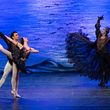 Review: SWAN LAKE at Century II Concert Hall Photo