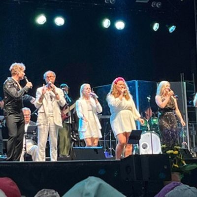 Review: MUSICAL EVENING at Vadstena Slott