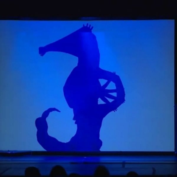 VIDEO: PILOBOLUS: RE: CREATION Coming to Mayo Performing Arts Center Apr 2024 - New Jersey Theater Video