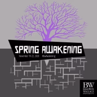 BWW Blog: Marketing SPRING AWAKENING Worldwide