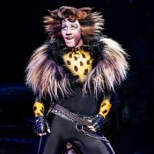 BWW Review: CATS at Kentucky Performing Arts