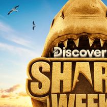 SHARK WEEK Delivers Discovery Channel's Best Ratings in Seven Years
