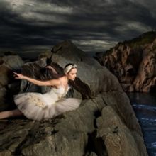 The Washington Ballet Postpones SWAN LAKE; Announces Changes to 2020-2021 Season