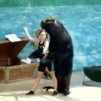 VIDEO: Sea Lion and Trainer Dance to 'Cell Block Tango' from CHICAGO