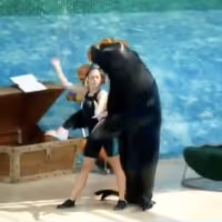 VIDEO: Sea Lion and Trainer Dance to 'Cell Block Tango' from CHICAGO Video