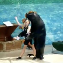 VIDEO: Sea Lion and Trainer Dance to 'Cell Block Tango' from CHICAGO