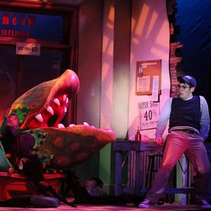 Review: LITTLE SHOP OF HORROR at Dutch Apple Dinner Theatre