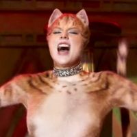 Guest Blog: Jellicle Fans Come Out At Midnight - The Rise of Rowdy Cats