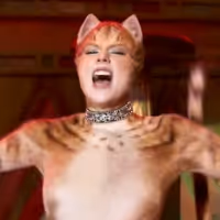 Guest Blog: Jellicle Fans Come Out At Midnight - The Rise of Rowdy Cats