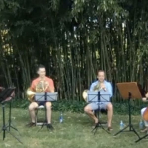 VIDEO: Members of the NSO Perform an Outdoor Concert - Broadway Theater Video