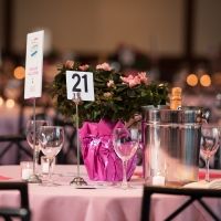 SHARE-A SECOND HELPING OF LIFE on 9/23 at Chelsea Piers Benefits Women Facing…